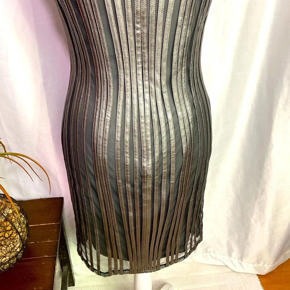 Cache Pewter Dress - Picture 8 of 14